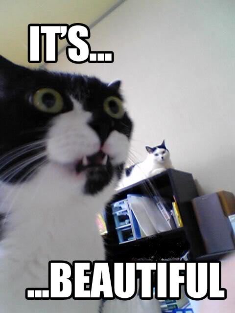 Name:  its-beautiful.jpg
Views: 103
Size:  30.1 KB