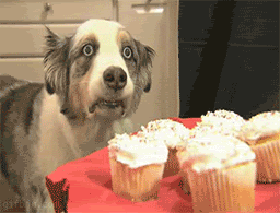 Name:  a4oihl-1.gif
Views: 248
Size:  2.84 MB