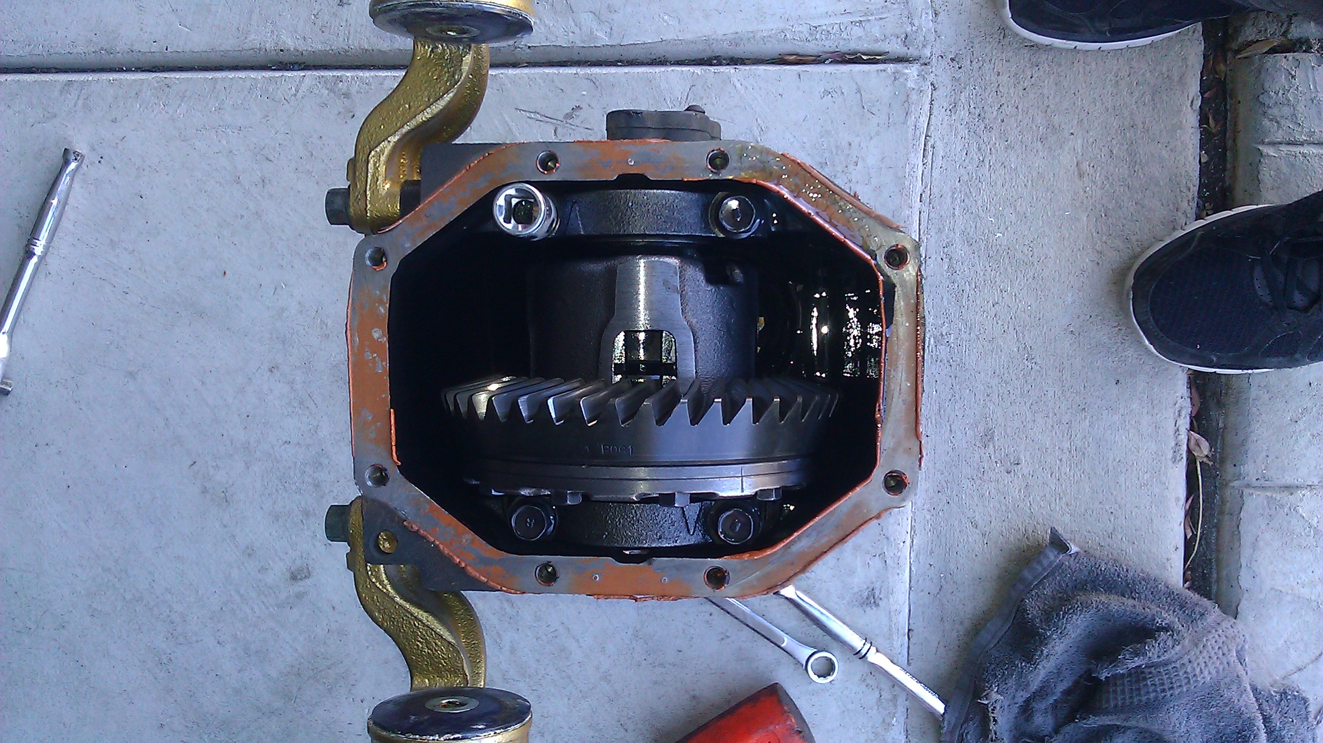 Name:  IMAG1892_zps21bae74c.jpg
Views: 182
Size:  1.28 MB