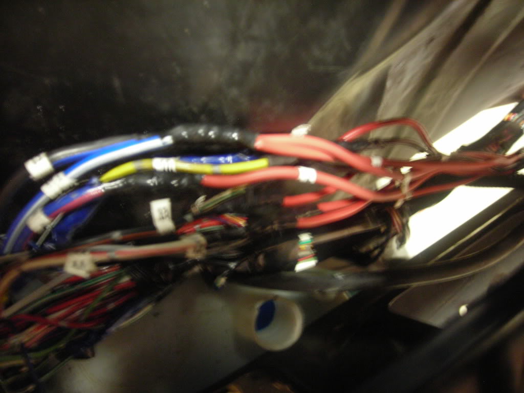 Name:  DSCN2121.jpg
Views: 616
Size:  109.3 KB