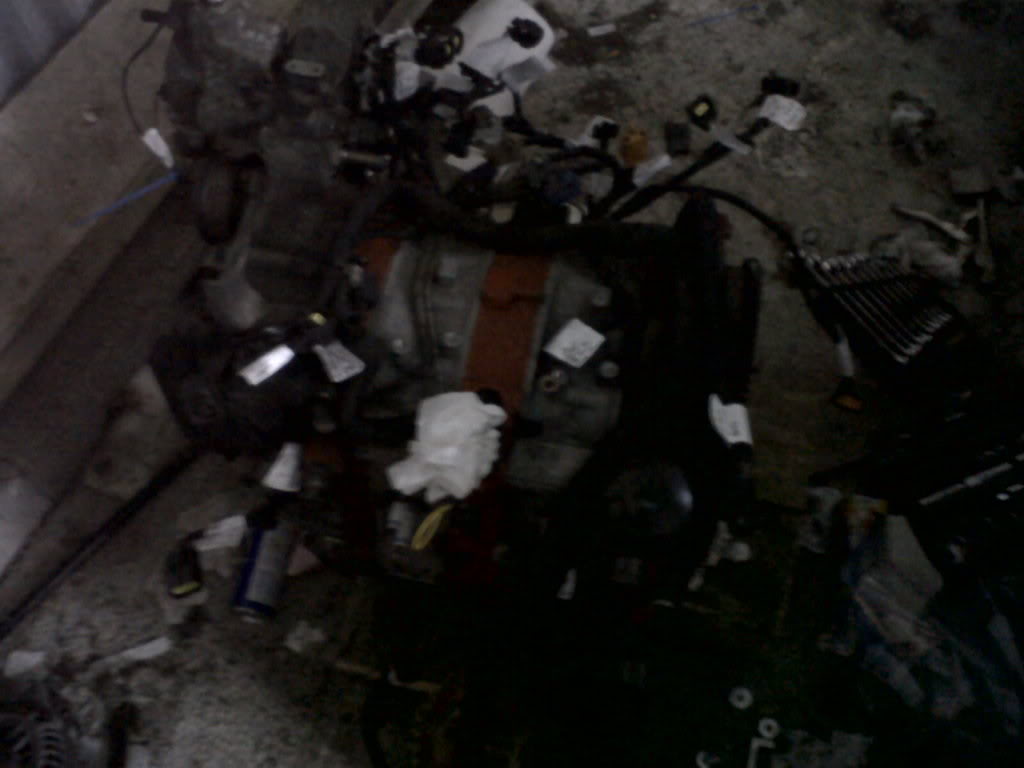 Name:  IMG00237-20120110-1424.jpg
Views: 143
Size:  55.1 KB