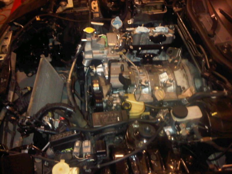 Name: NorthwestHarris-20120923-01397_zps280efba2.jpg
Views: 2374
Size: 78.9 KB