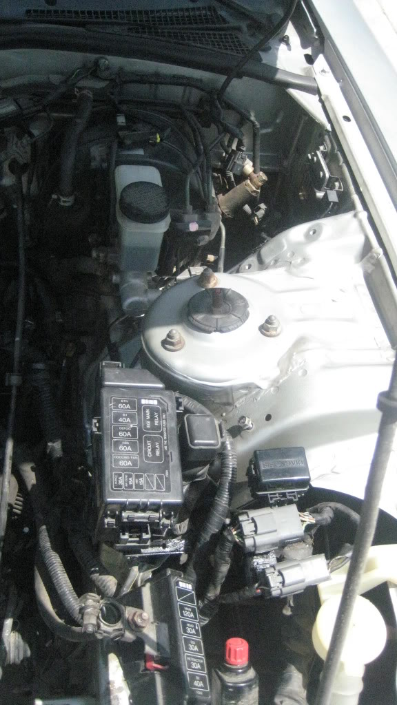 Name:  008-1.jpg
Views: 1748
Size:  125.1 KB