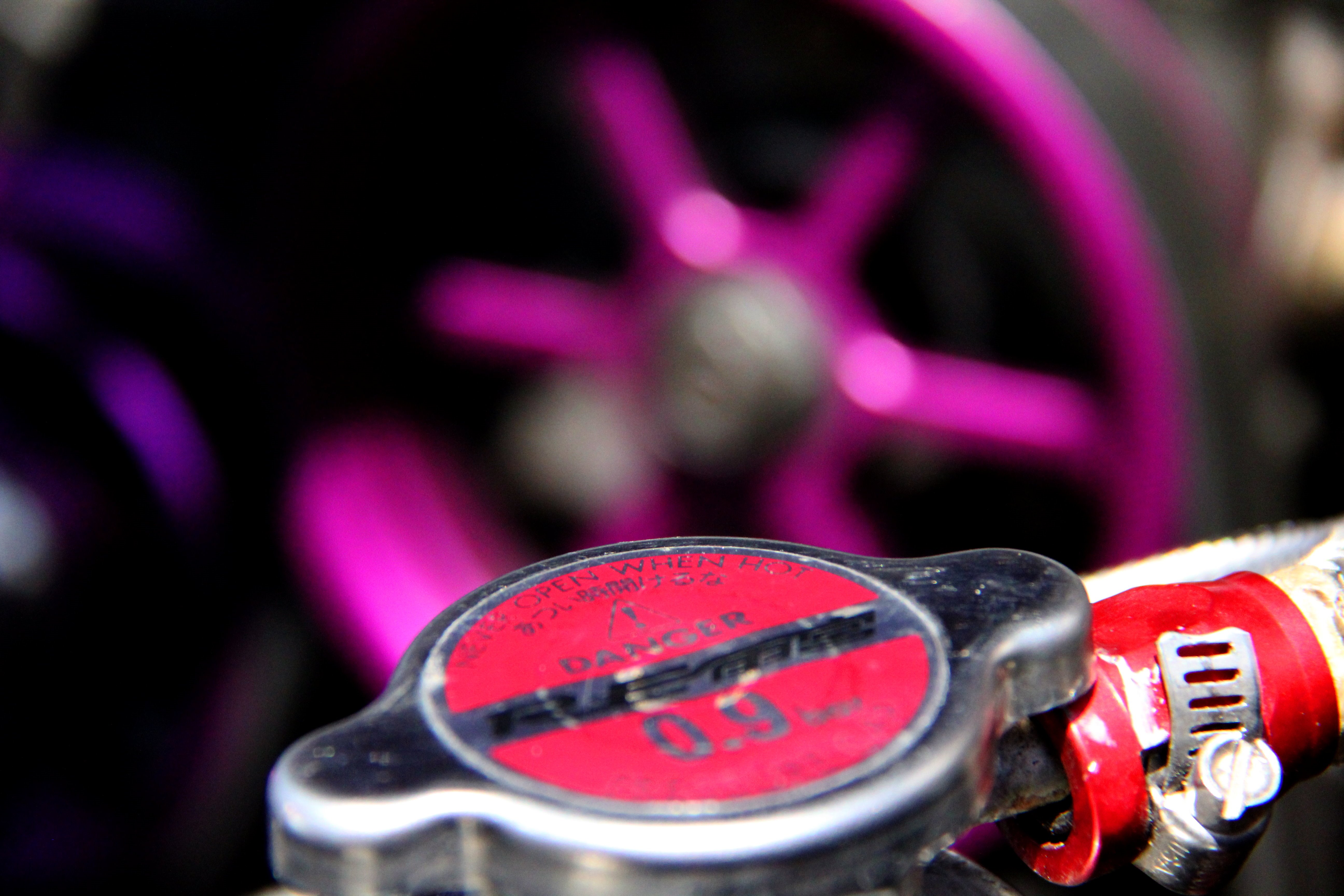 Name:  pinkandpurple.jpg
Views: 334
Size:  1.46 MB