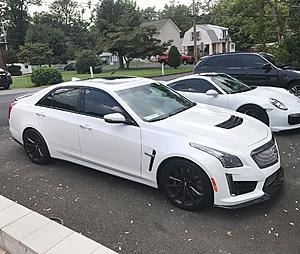 Ark's oem minty chaste white build-img_6446.jpg
