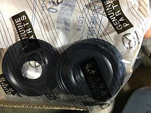 Formal Intro: Moderu-img_4536.jpg