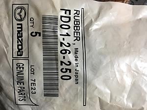 Formal Intro: Moderu-img_4535.jpg