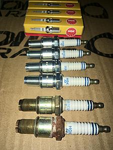'93 Killah Bee CYM��-ghbt39.jpg