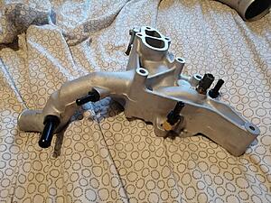 02 Type R Bathurst-oaey4kt.jpg
