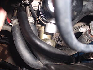 JSemerica's 93 Montego 45k Mile Refresh-gpgwmxf.jpg