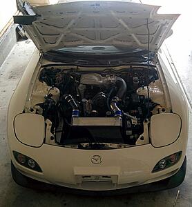 my fourth FD (and hopefully my last)-merrdofl.jpg
