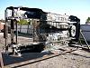 Project Naomi III : End of Summer 2010 Update-100_1226.jpg