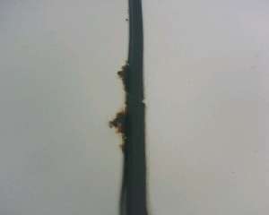 Name:  IMG00050.jpg
Views: 266
Size:  3.1 KB