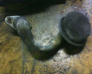 Name:  IMG00107.jpg
Views: 262
Size:  9.3 KB