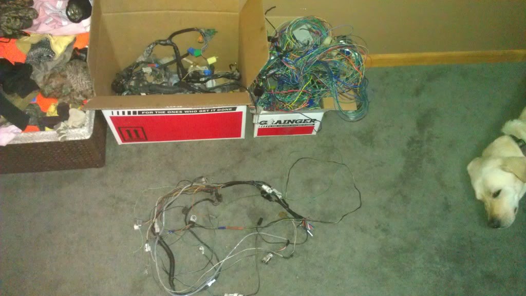 Name:  IMAG0695_zps66f7d9f1.jpg
Views: 2721
Size:  84.5 KB