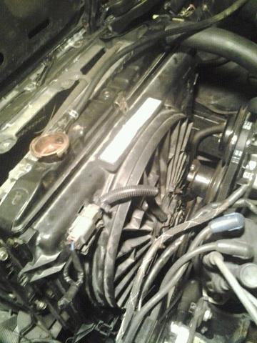 Name: radiatorfanonrx7.jpg
Views: 293
Size: 34.8 KB