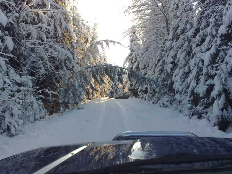 Name:  07122008147.jpg
Views: 115
Size:  119.8 KB