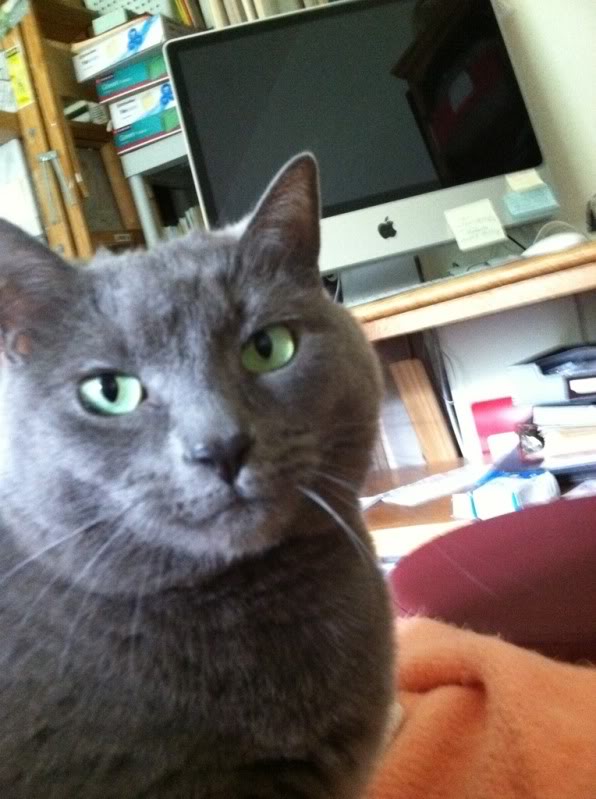 Name:  8cd40207.jpg
Views: 1047
Size:  67.8 KB