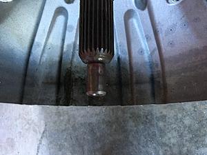 81 custom widebody-input1.jpeg
