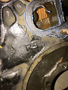 SA22c Renesis rotating assembly killer bee swap-img_5441.jpg