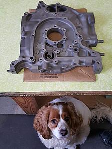 SA22c Renesis rotating assembly killer bee swap-a5a3412a-ae4d-49b6-9c92-fa0b19632d67.jpeg