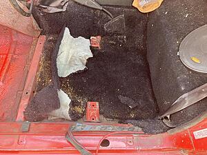 FrankenRex Will Rise: stuffing a GSL-SE into a'79 SA-gnjqcfwl.jpg