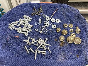 FrankenRex Will Rise: stuffing a GSL-SE into a'79 SA-ok9k4vql.jpg