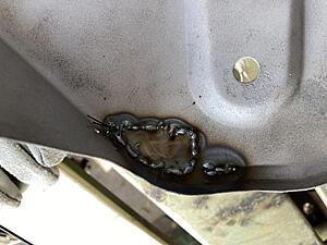FrankenRex Will Rise: stuffing a GSL-SE into a'79 SA-dr0pwjgl.jpg