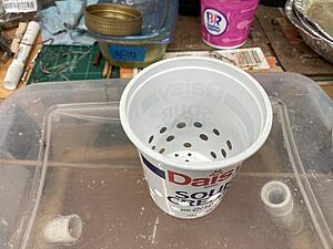 FrankenRex Will Rise: stuffing a GSL-SE into a'79 SA-vaodr0ml.jpg