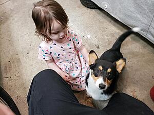 85 L6 GS/SE project restoration-zmmsgrj.jpg