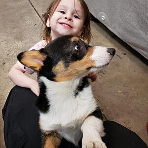 85 L6 GS/SE project restoration-whz2nne.jpg