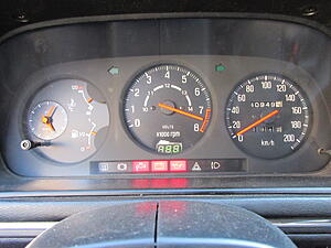 Damic's Annabelle (SA)-5l3xv45.jpg