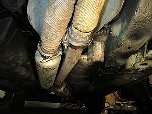 Damic's Annabelle (SA)-x0txye7.jpg