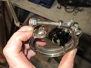 Damic's Annabelle (SA)-bmfcxc4.jpg