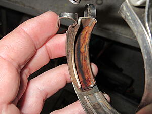 Damic's Annabelle (SA)-iwqy4xf.jpg