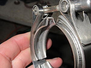 Damic's Annabelle (SA)-sd97mah.jpg