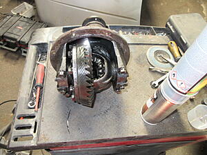 Damic's Annabelle (SA)-uy1dkzl.jpg