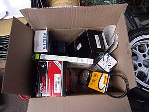 Damic's Annabelle (SA)-sh4ynl4.jpg