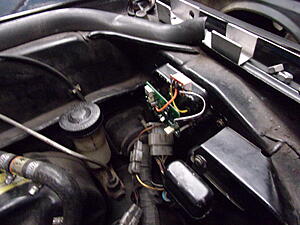 Damic's Annabelle (SA)-qa0hepv.jpg