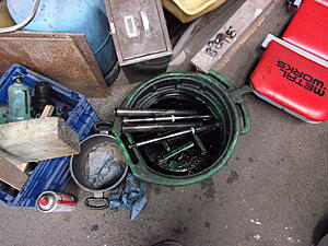 Damic's Annabelle (SA)-brq2aze.jpg