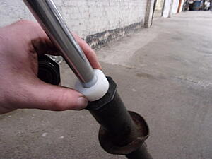 Damic's Annabelle (SA)-vxr3r1c.jpg