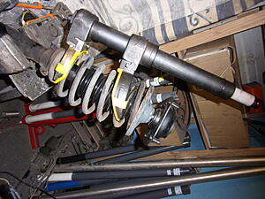 Damic's Annabelle (SA)-hyqphsn.jpg