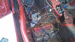 85' Stripped Corner Carver-1mz6061.jpg