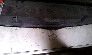 Restoring my '79 Limited: A Journey-t7xlu.jpg