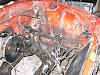 Vert Paint &amp; Rebuild 2007-dinos3bay.jpg
