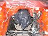 Vert Paint &amp; Rebuild 2007-dinos4bay.jpg