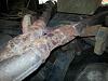 1988 Rx7 vert "Slowly bringing her back"-forumrunner_20130622_163524.jpg