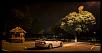 Rx-7 Fc3s S5 VERT PICS-1798889_10153830582145010_489276722_o.jpg
