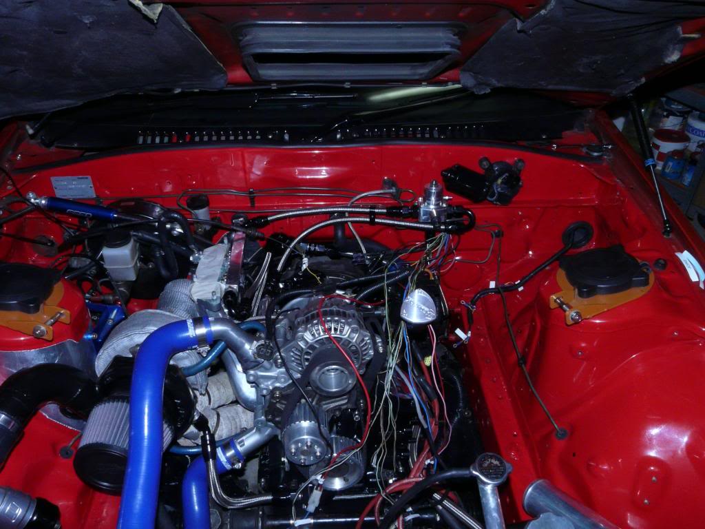 Name:  P1100500_zps7ac124ea.jpg
Views: 134
Size:  108.3 KB