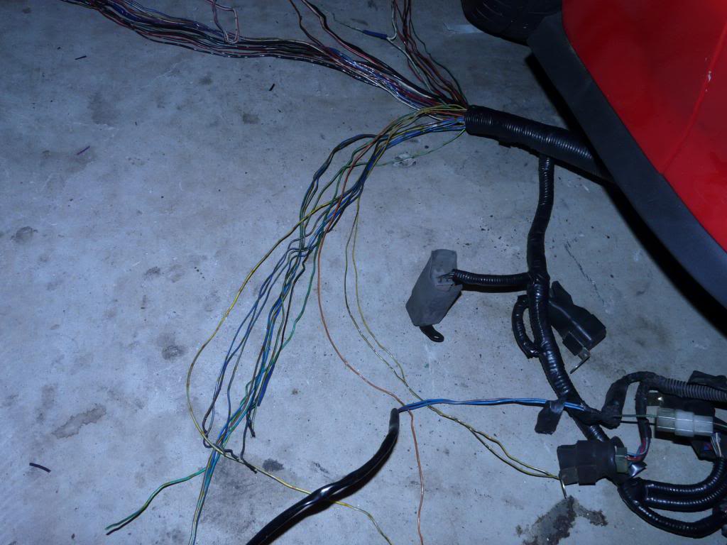 Name: P1100476_zpsa9c008a1.jpg
Views: 131
Size: 98.4 KB